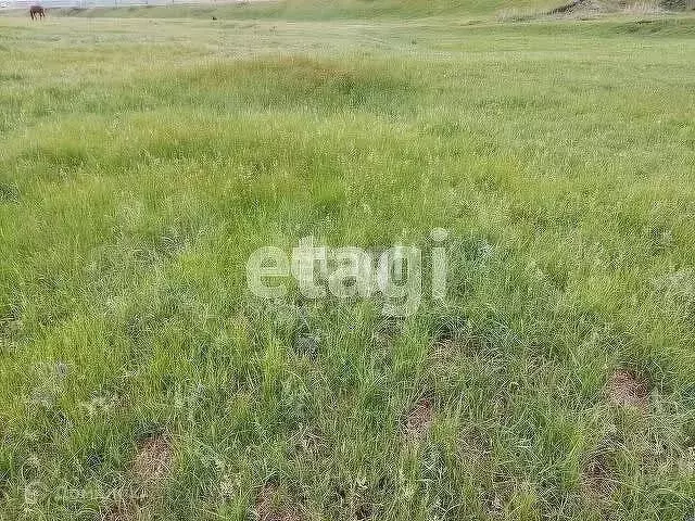 Участок 11 сот. (ИЖС) - Фото 1