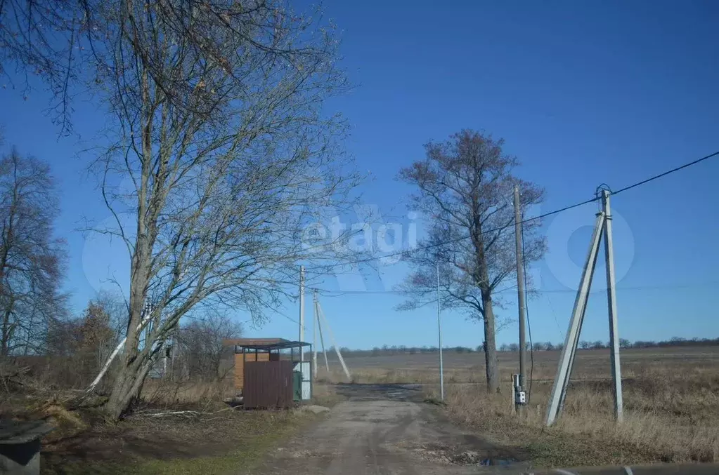 Участок 4,3 сот. (СНТ, ДНП) - Фото 0
