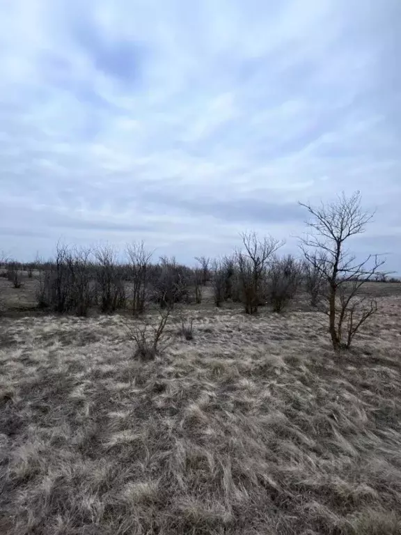 Участок в Калмыкия, Элиста ул. Давида Кугультинова, 95 (6.0 сот.) - Фото 2