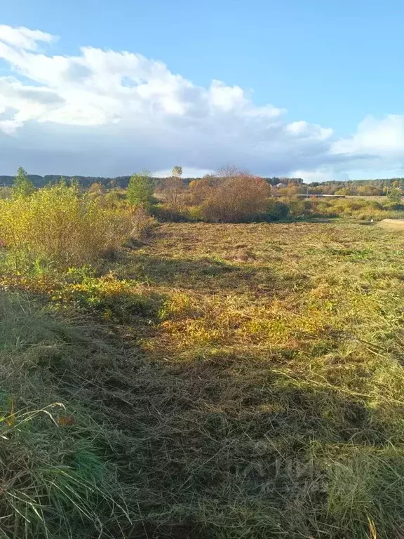 Участок в Псковская область, Псковский район, Ядровская волость, д. ... - Фото 2