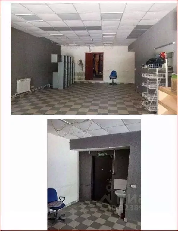 Офис в Новосибирская область, Новосибирск Беловежская ул., 10а (79 м) - Фото 1