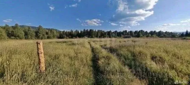 Участок в Алтай, Чойский район, Каракокшинское с/пос, с. Кузя ул. ... - Фото 1