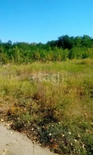 Участок в Ростовская область, Мясниковский район, Краснокрымское ... - Фото 1