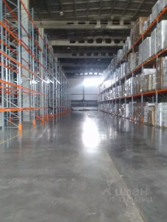 Склад в Московская область, Домодедово Северный мкр, ул. ... - Фото 2