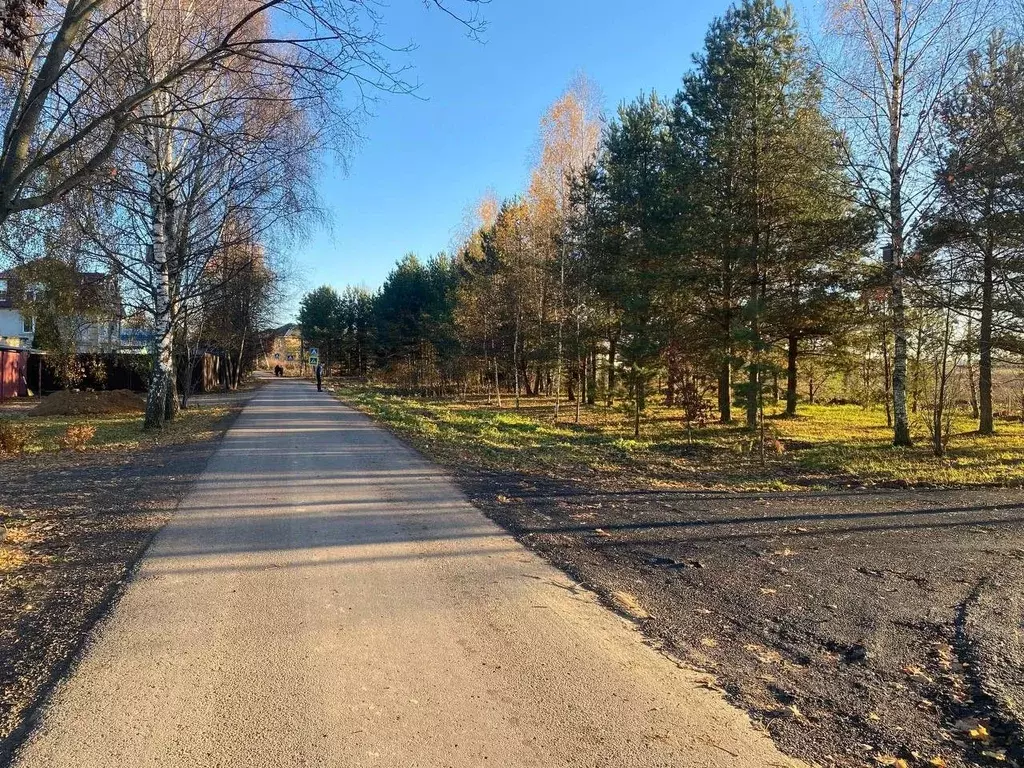 Участок в Московская область, Пушкинский городской округ, д. ... - Фото 0