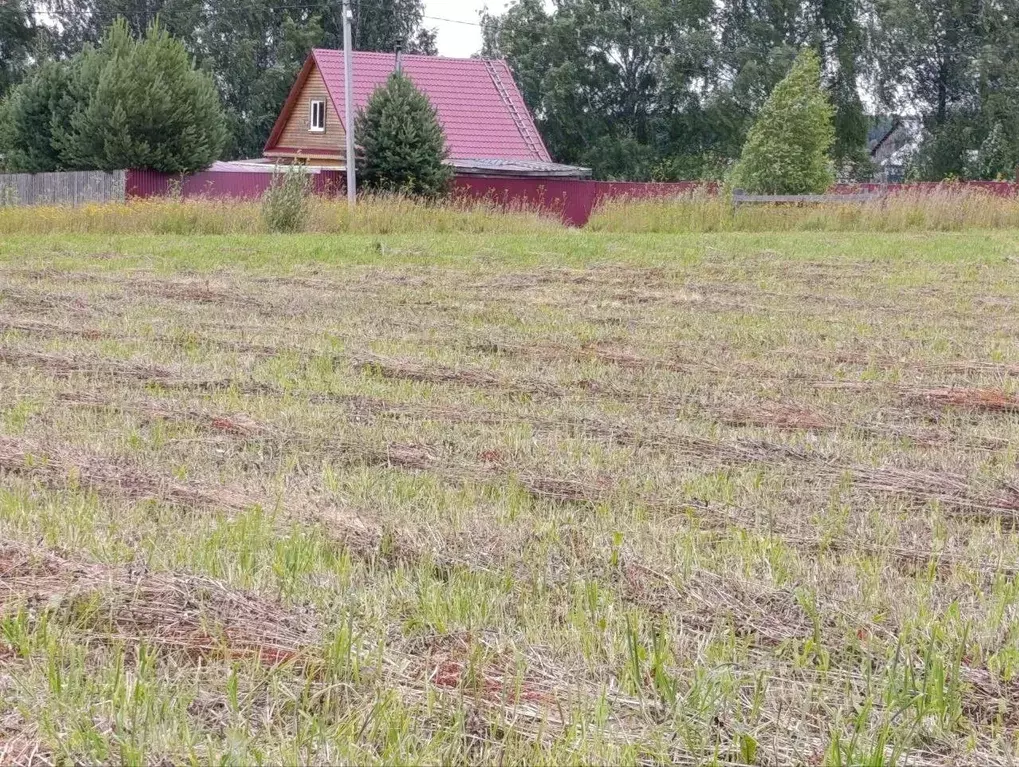 Участок в Пермский край, Нытвенский муниципальный округ, с. Чекмени ... - Фото 0
