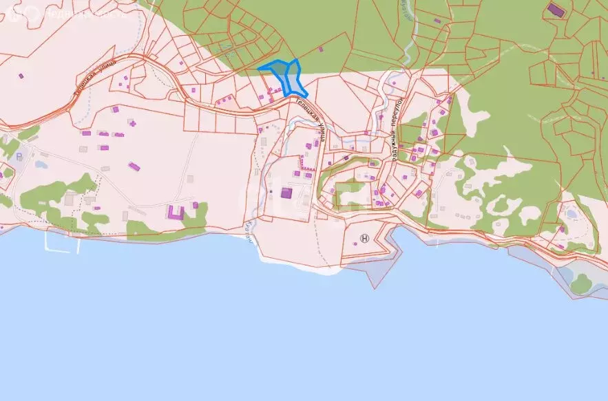 Участок в село Артыбаш, Телецкая улица (23.6 м) - Фото 1