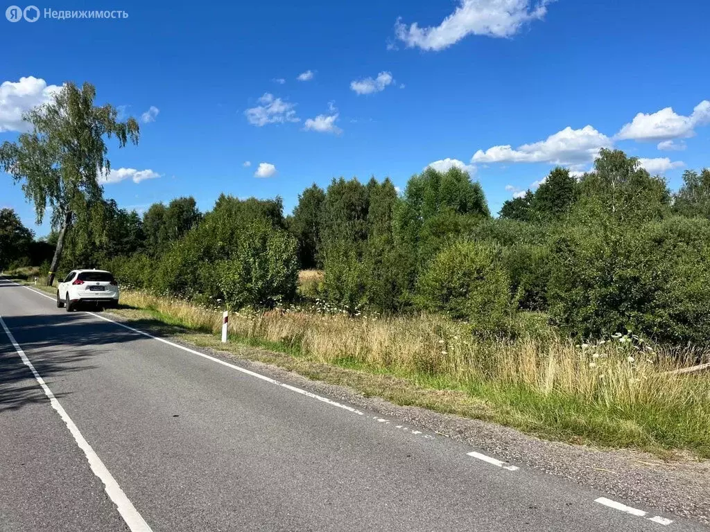 Участок в Калининградская область, Багратионовский муниципальный ... - Фото 0