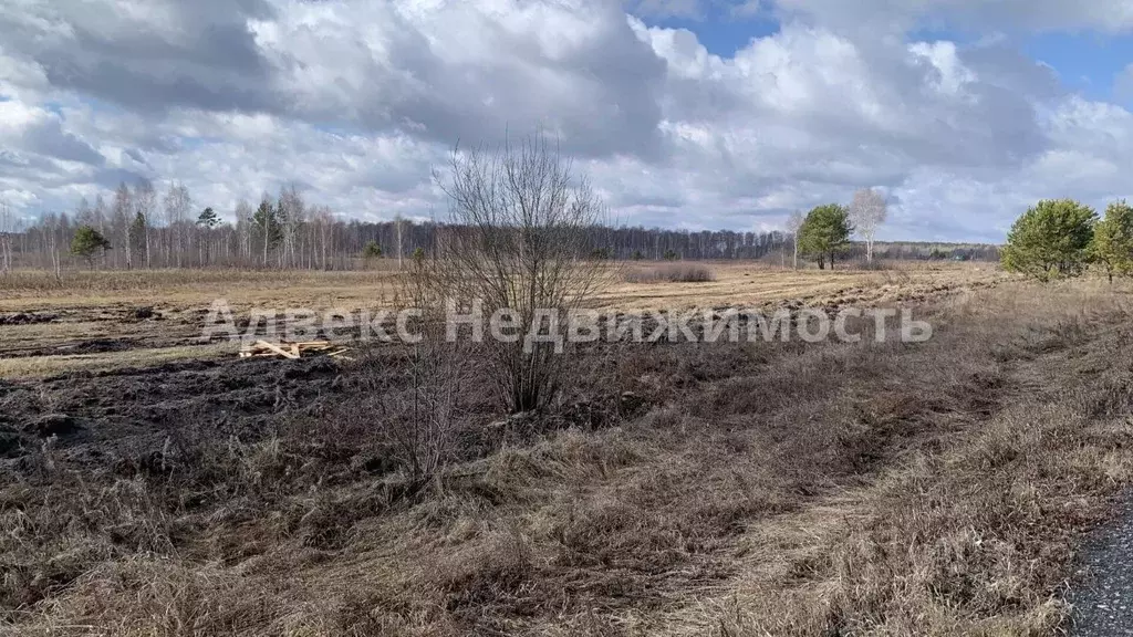 Участок в Тюменская область, Тюмень Велижанский тракт, 7-й км, 2 (6.74 ... - Фото 0