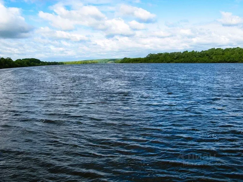 Участок в Тульская область, Ясногорский район, Иваньковское с/пос, д. ... - Фото 2