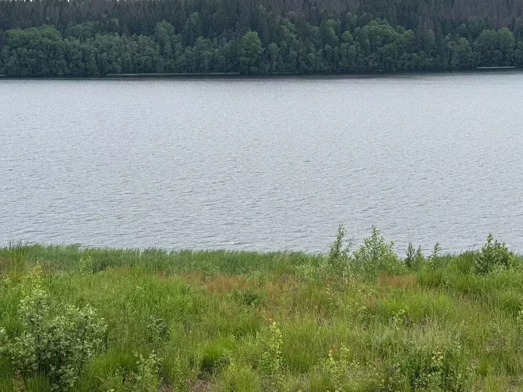 Участок в Ленинградская область, Выборгский район, Полянское с/пос, ... - Фото 2