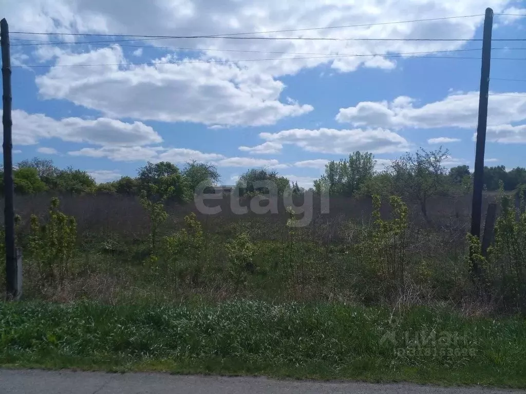 Участок в Мордовия, Кочкуровский район, с. Старые Турдаки  (20.0 сот.) - Фото 2