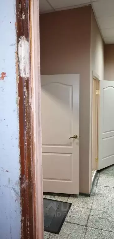 Помещение свободного назначения в Коми, Воркута ул. Суворова, 2 (74 м) - Фото 1