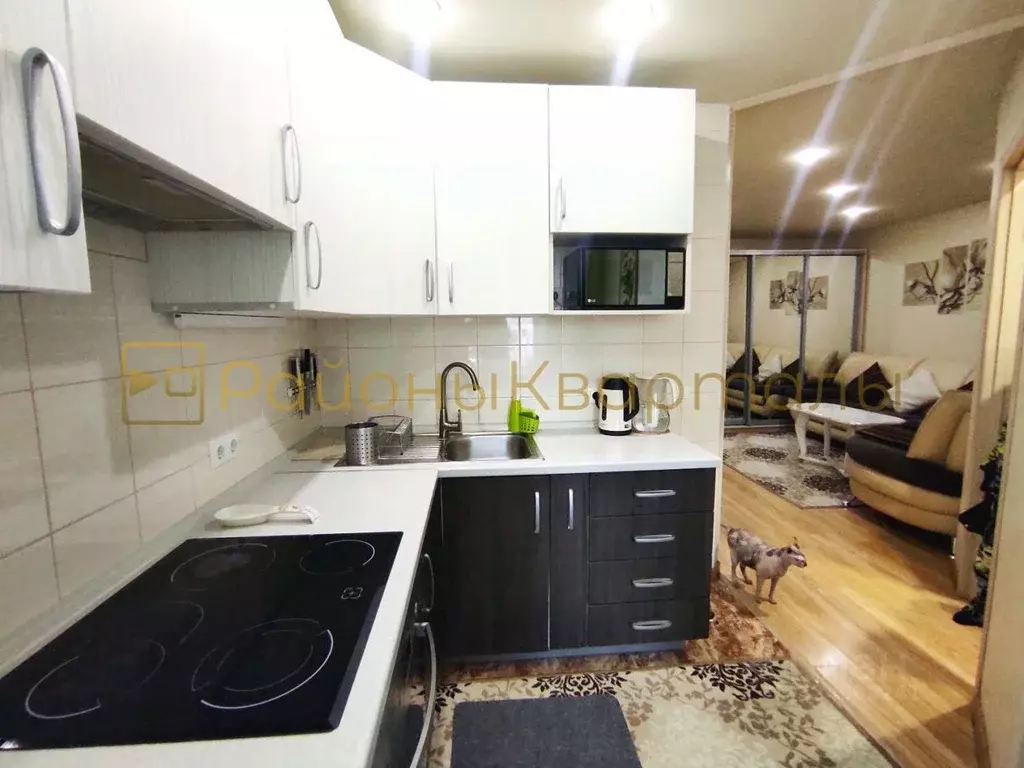 3-к кв. Новосибирская область, Новосибирск ул. Революции, 6 (61.3 м) - Фото 2