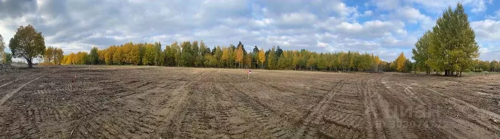 Участок в Ленинградская область, Приозерский район, Сосновское с/пос, ... - Фото 0