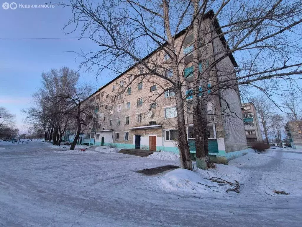 2-комнатная квартира: село Среднебелая, Амурская улица, 10 (50 м) - Фото 1