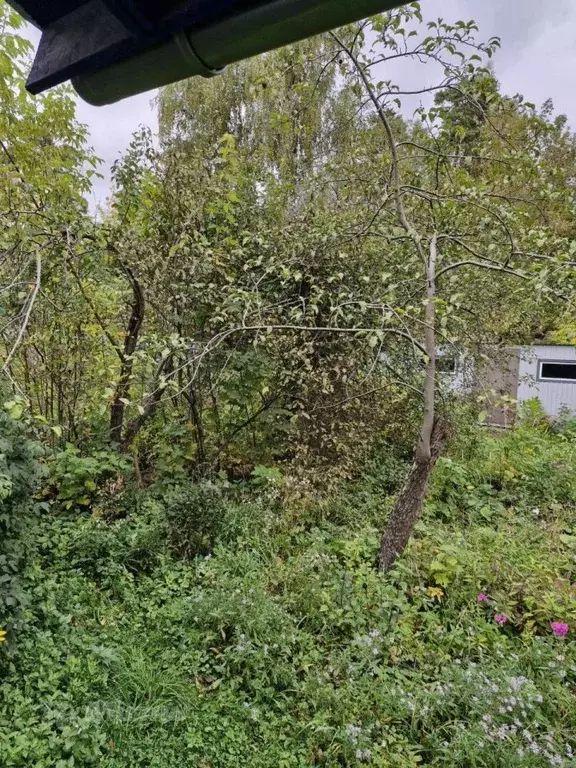 Участок в Московская область, Люберцы городской округ, Малаховка пгт ... - Фото 1