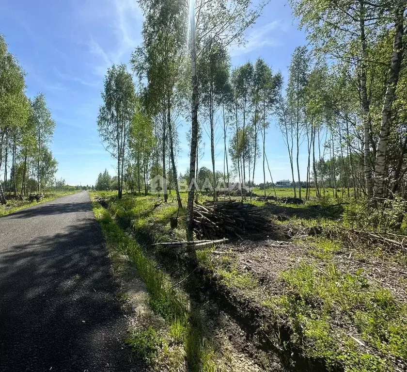 Участок в Московская область, Раменское Дергаево-2 кп,  (7.21 сот.) - Фото 0