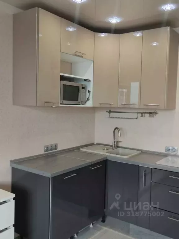 Студия Новосибирская область, Новосибирск ул. Фадеева, 66/5 (24.0 м) - Фото 1