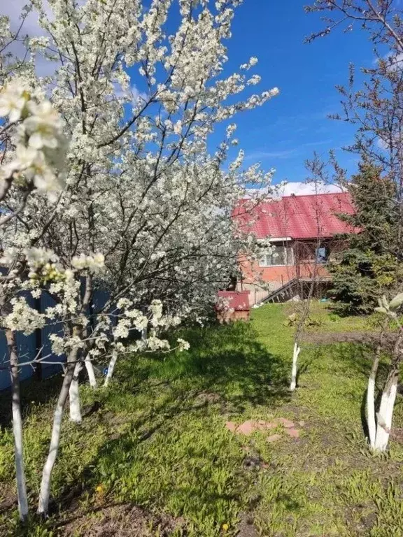 Дом в Самарская область, Самара Раздольная ул., 77 (256 м) - Фото 2