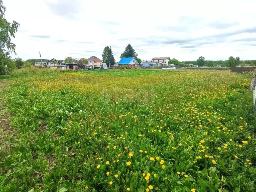 Участок в Искитимский район, Совхозный сельсовет, село Лебедёвка, ... - Фото 1