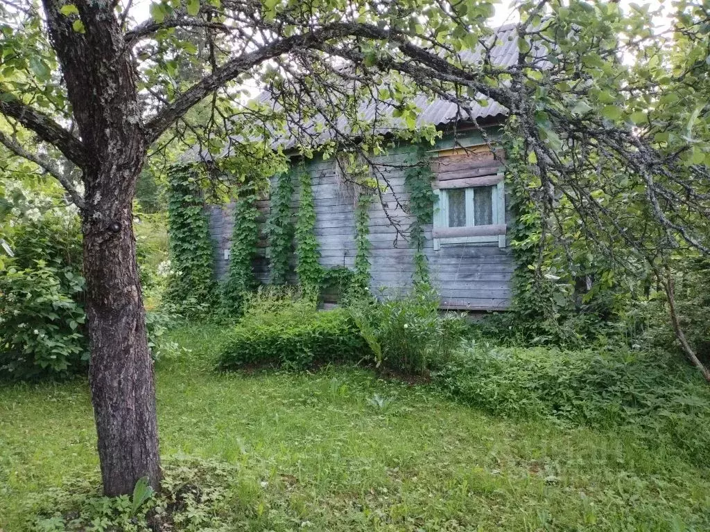 Дом в Карелия, Сортавальский муниципальный округ, пос. Туокслахти 40 ... - Фото 2