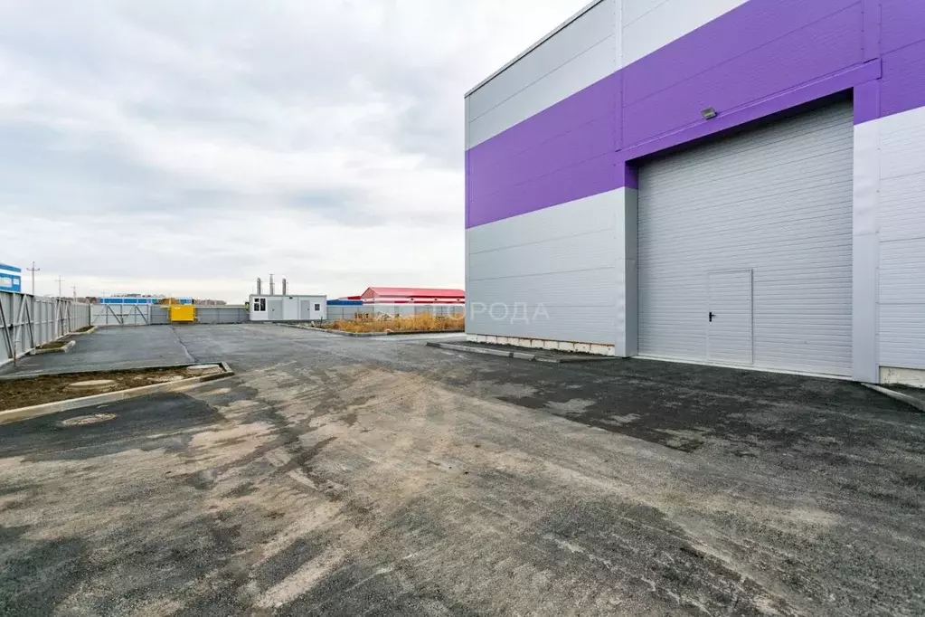 Склад в Новосибирская область, Новосибирский район, Толмачевский ... - Фото 2