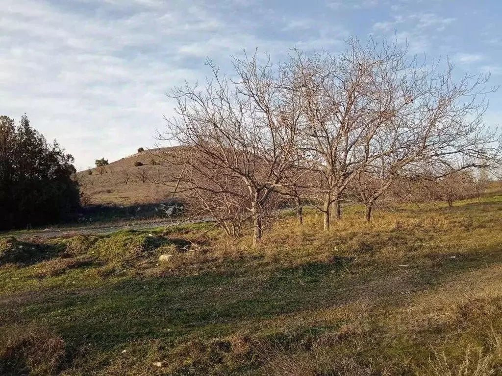 Участок в Крым, Бахчисарайский район, Куйбышевское с/пос, с. Танковое ... - Фото 1