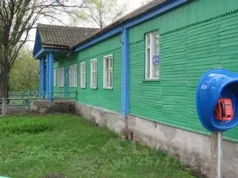Помещение свободного назначения в Воронежская область, Лискинский ... - Фото 0