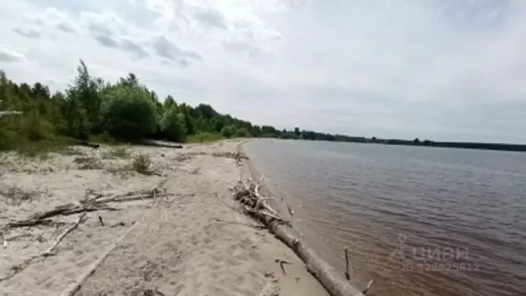 Участок в Нижегородская область, Сокольский муниципальный округ, ... - Фото 2