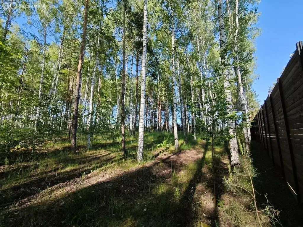 Участок в Бессоновский район, 58Н-45 (15 м) - Фото 1