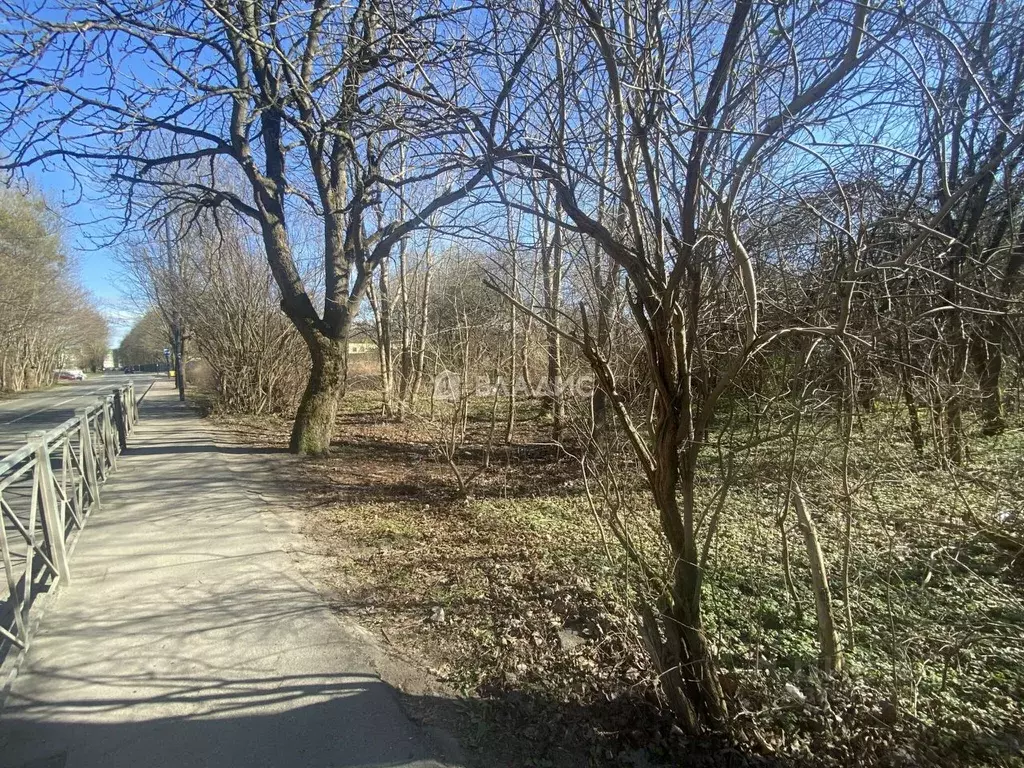 Участок в Калининградская область, Калининград Муромская ул. (6.0 ... - Фото 1