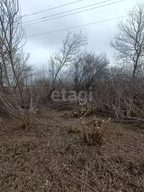 Участок в Белгородская область, Губкинский городской округ, с. ... - Фото 0
