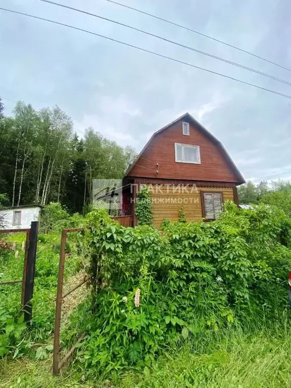 Дом в Московская область, Богородский городской округ, Лотос-2 СНТ 43 ... - Фото 1