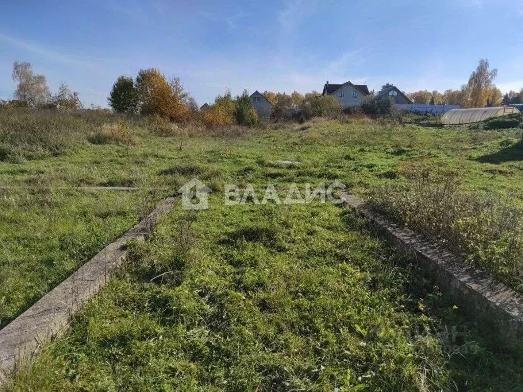 Участок в Владимирская область, Кольчугинский район, Раздольевское ... - Фото 2