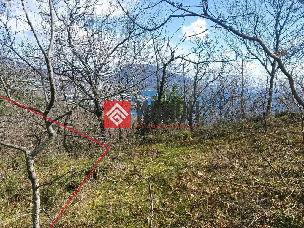 Участок в Крым, Ялта муниципальный округ, пос. Линейное ш. ... - Фото 2