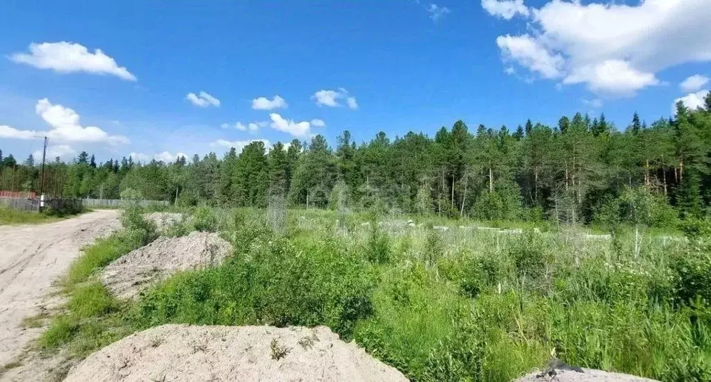 Участок в Ханты-Мансийский АО, Сургут № 47 Лайнер садовое ... - Фото 0