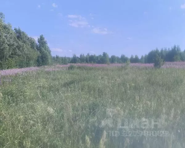Участок в Ленинградская область, Лодейнопольский район, Алеховщинское ... - Фото 2
