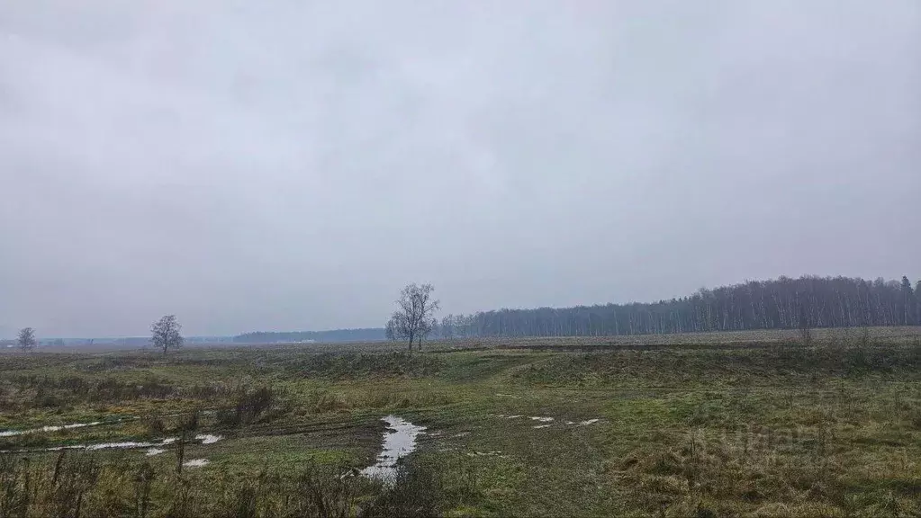 Участок, 6 сот., поселения (ижс) - Фото 2