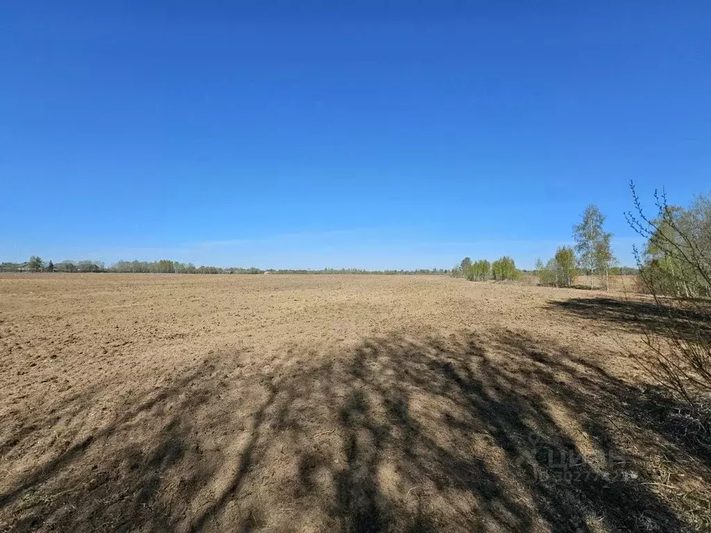 Участок в Ленинградская область, Всеволожский район, Сертоловское ... - Фото 2