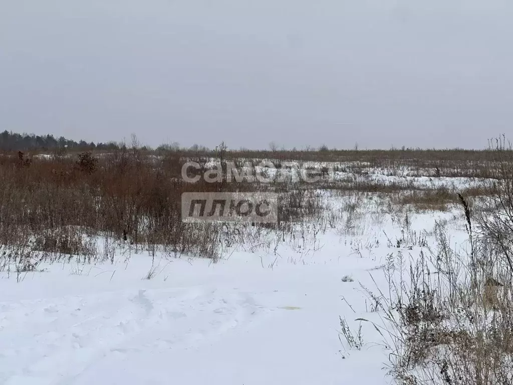 Участок в Амурская область, Благовещенский район, с. Усть-Ивановка  ... - Фото 1