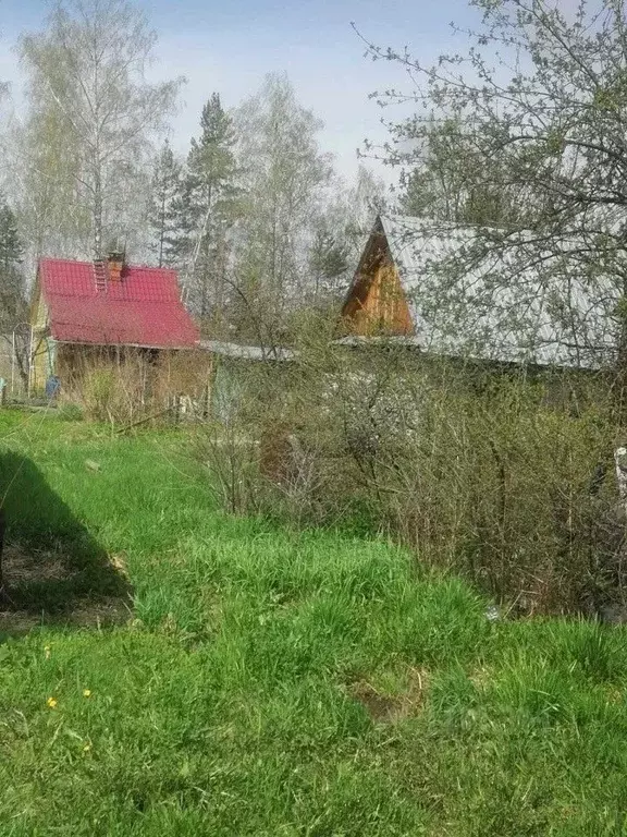 Дом в Свердловская область, Белоярский муниципальный округ, Гагарский ... - Фото 0