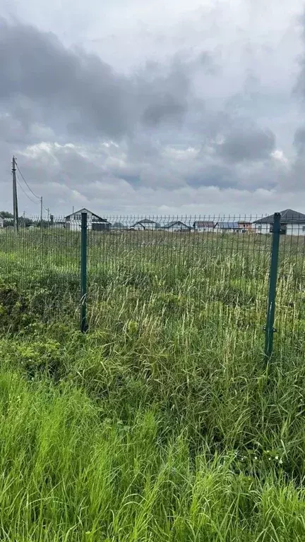 Участок в Калининградская область, Зеленоградский муниципальный округ, ... - Фото 2