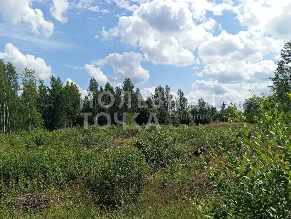 Участок в Новгородская область, Окуловский район, Турбинное с/пос, д. ... - Фото 1