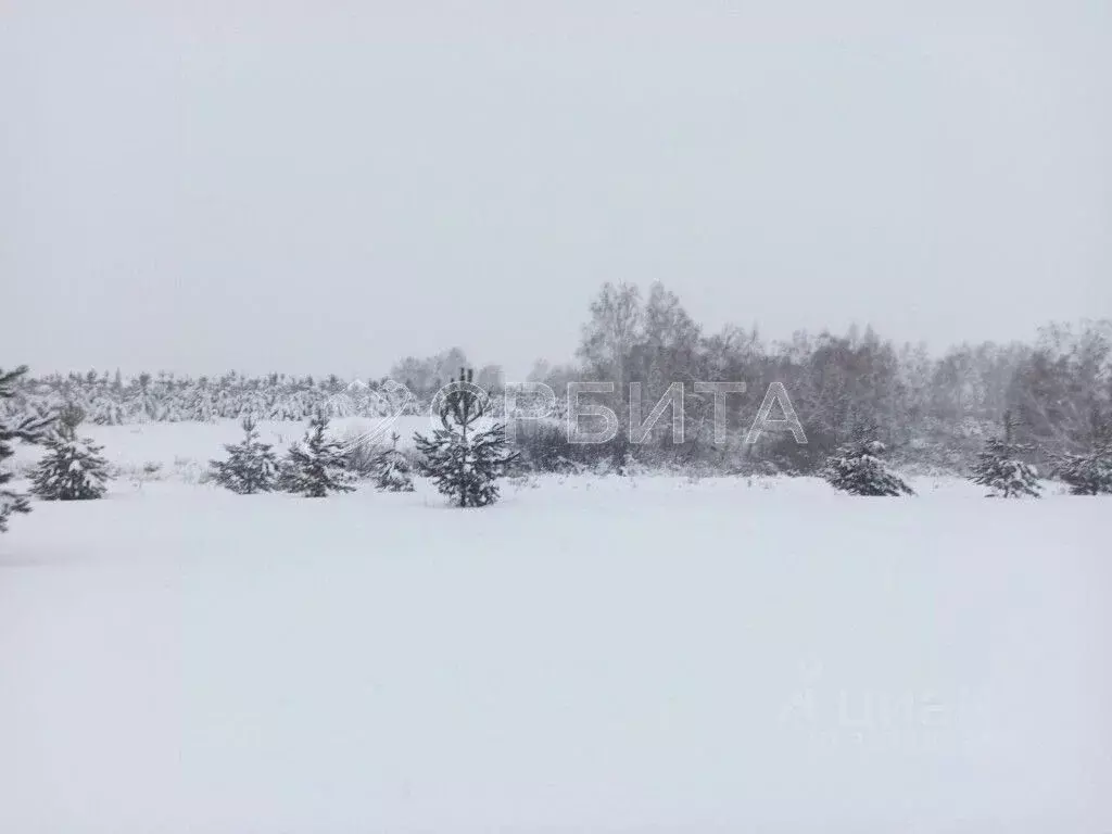 Участок в Тюменская область, Тюменский муниципальный округ, ... - Фото 1