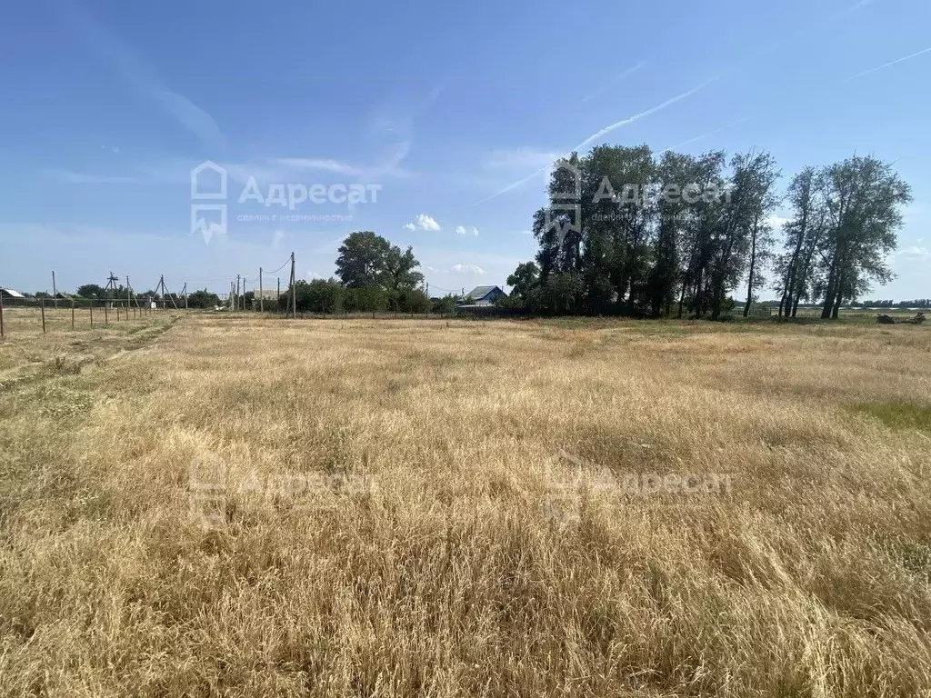 Участок в Волгоградская область, Среднеахтубинский район, Красное ... - Фото 0