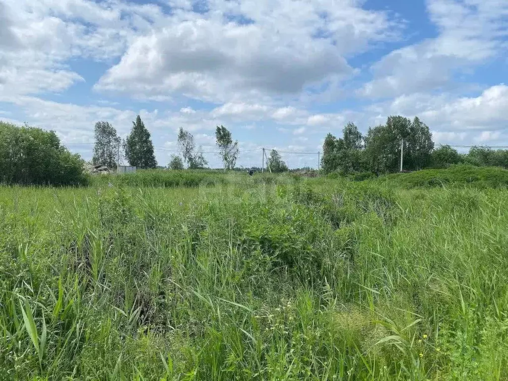 Участок в Свердловская область, Талицкий муниципальный округ, пос. ... - Фото 1