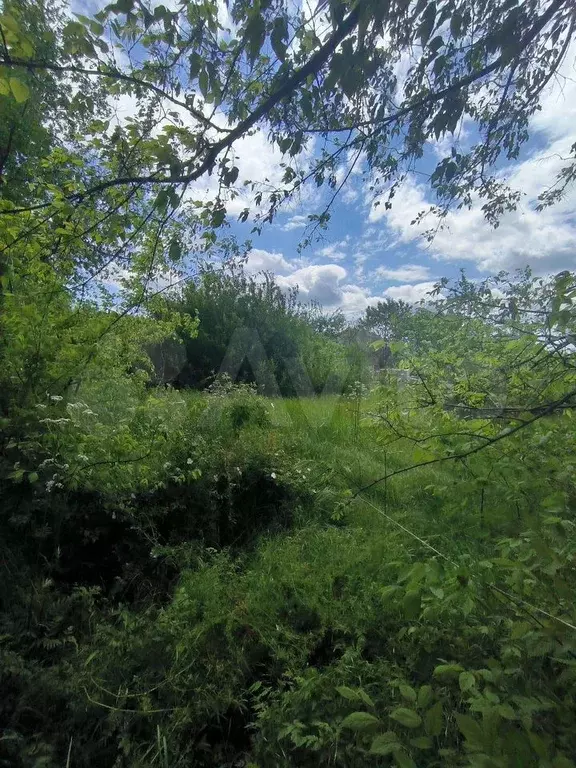 Участок 5,5 сот. (СНТ, ДНП) - Фото 0