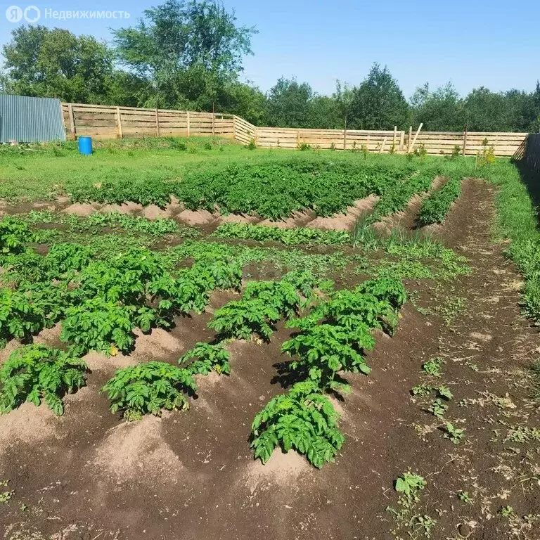 Участок в Свердловская область, Ирбитское муниципальное образование, ... - Фото 1