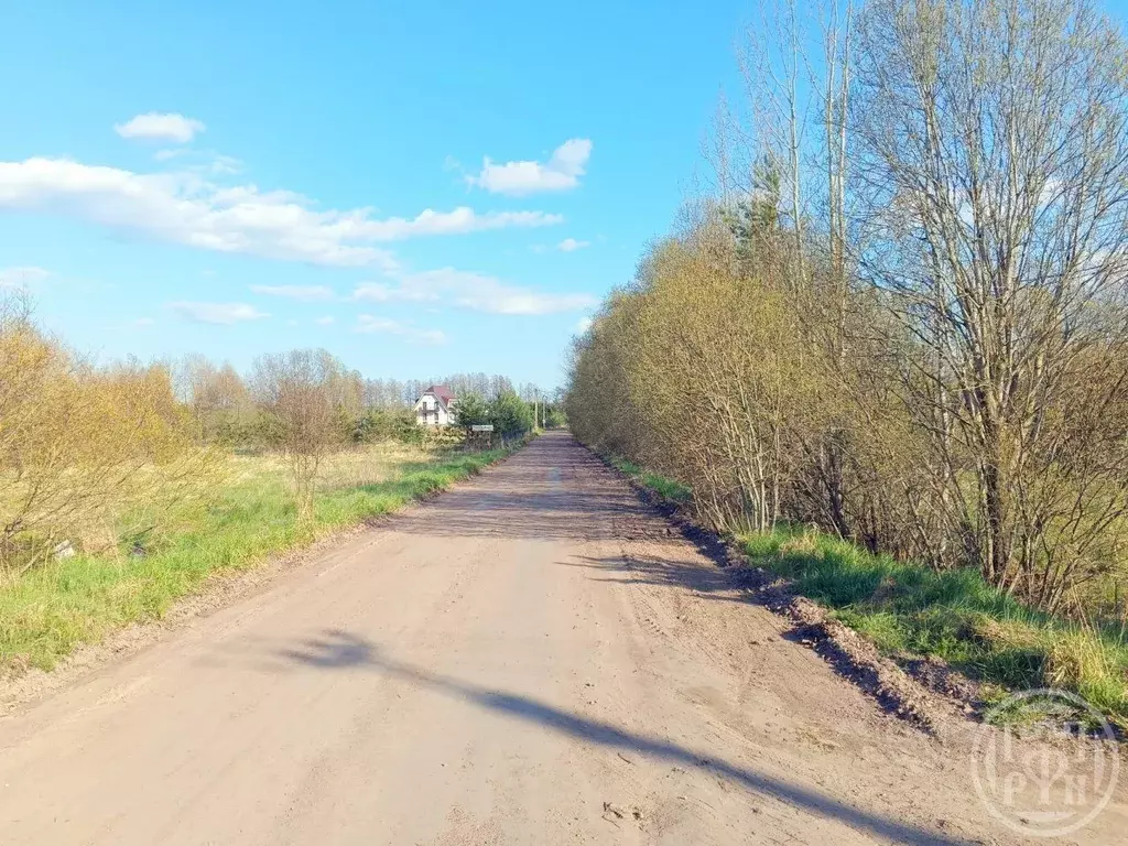 Участок в Ленинградская область, Выборгский район, Красносельское ... - Фото 1